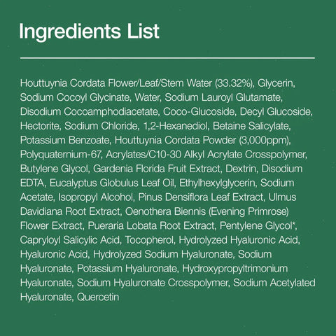 Heartleaf Quercetinol Pore Deep Cleansing Foam